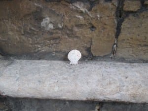 Scallop Shells 'Orchestrated Serendipity'.